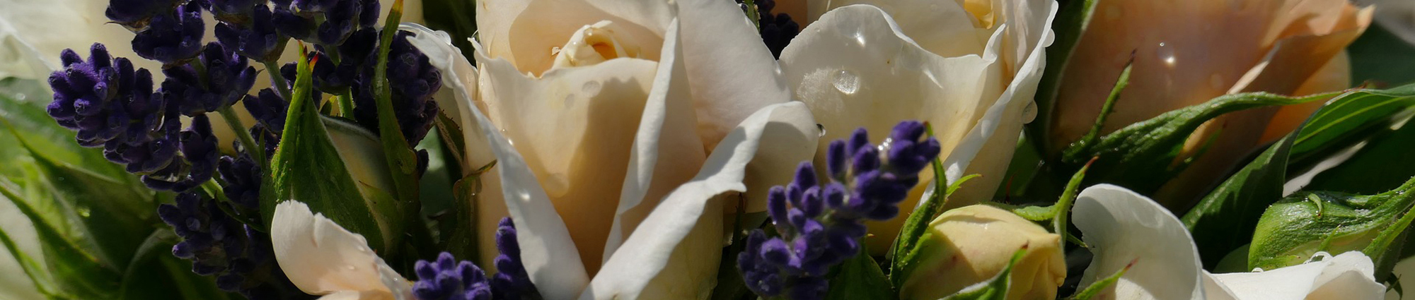 Summer Flowers
