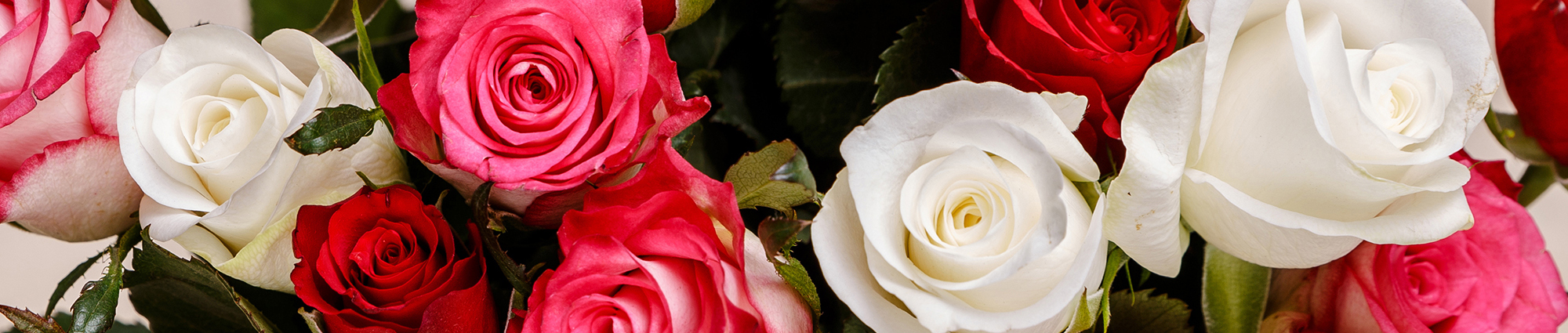 Valentines Day Flowers